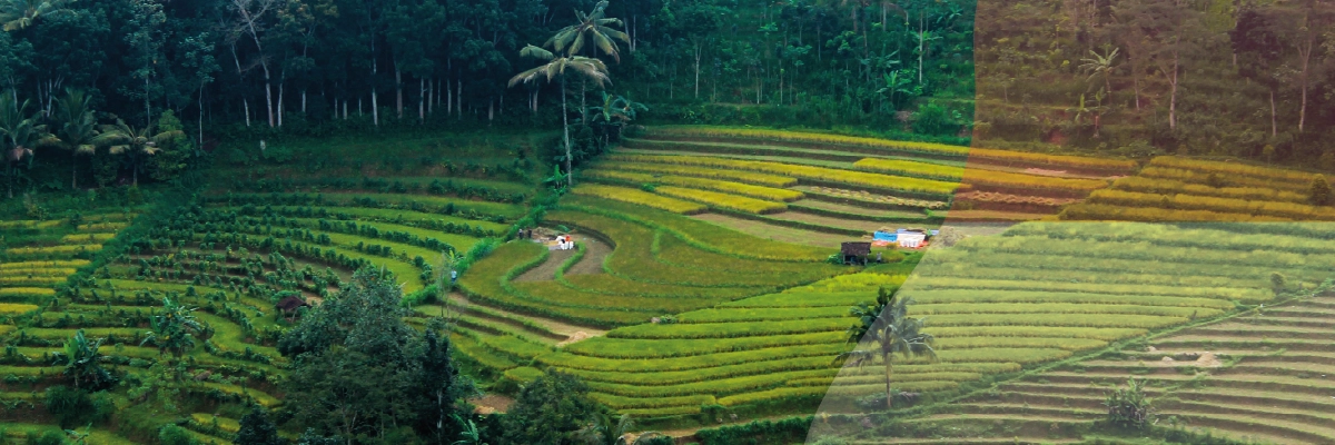Een Avontuur in Indonesië